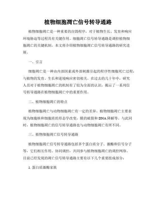 植物细胞凋亡信号转导通路