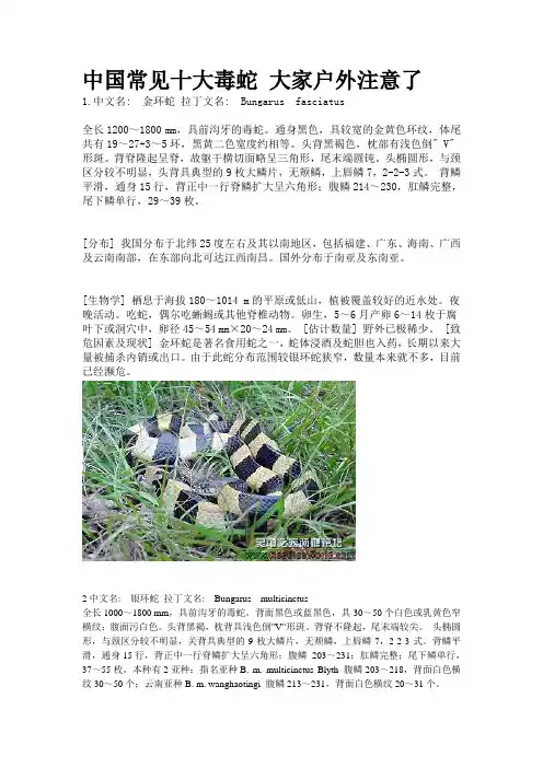 常见蛇类