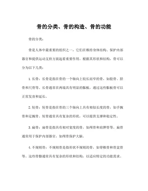 骨的分类、骨的构造、骨的功能