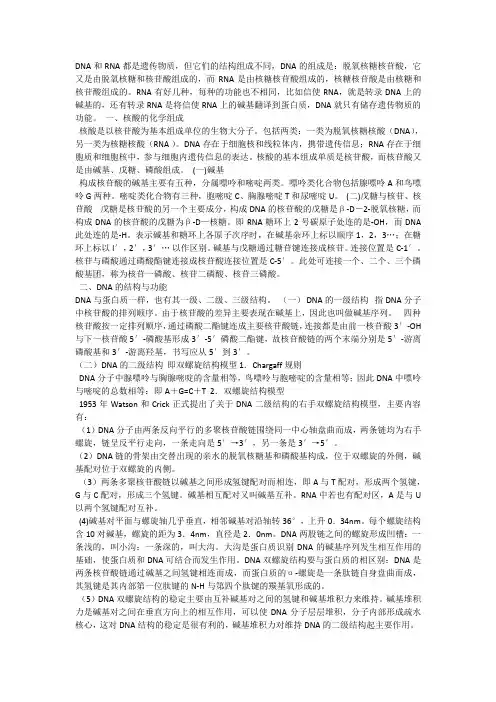 核酸结构特征