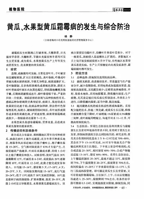 黄瓜、水果型黄瓜霜霉病的发生与综合防治