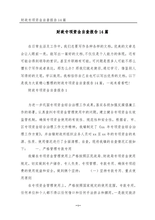财政专项资金自查报告14篇