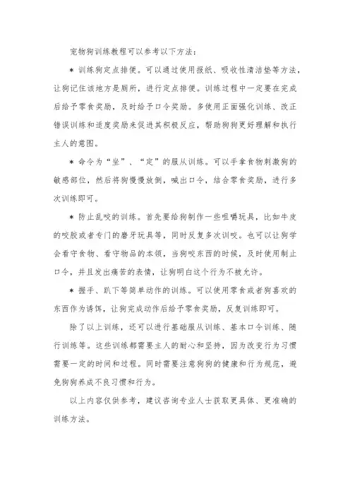 宠物狗训练教程