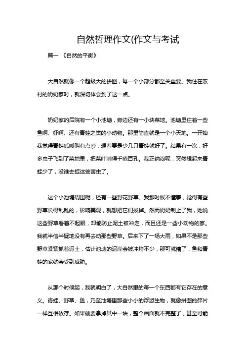 自然哲理作文(作文与考试