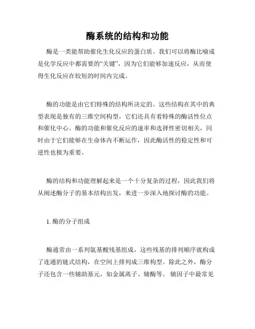 酶系统的结构和功能