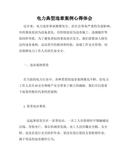 电力典型违章案例心得体会