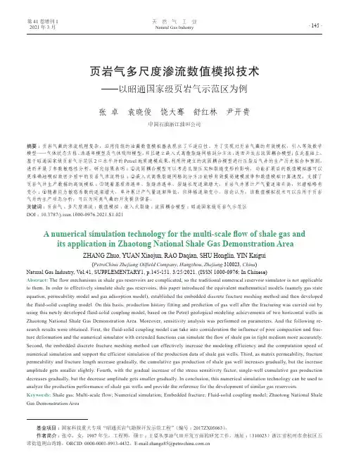 页岩气多尺度渗流数值模拟技术——以昭通国家级页岩气示范区为例