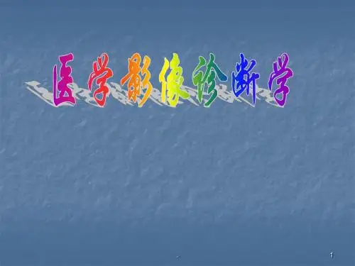 泌尿生殖系统和腹膜后间隙PPT课件