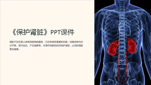 《保护肾脏》课件