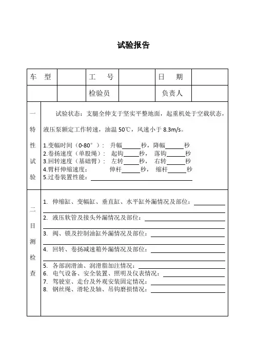 吊载试验报告