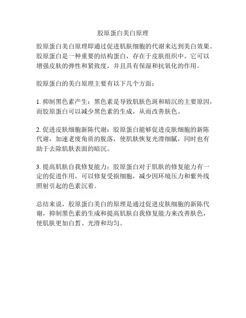 胶原蛋白美白原理