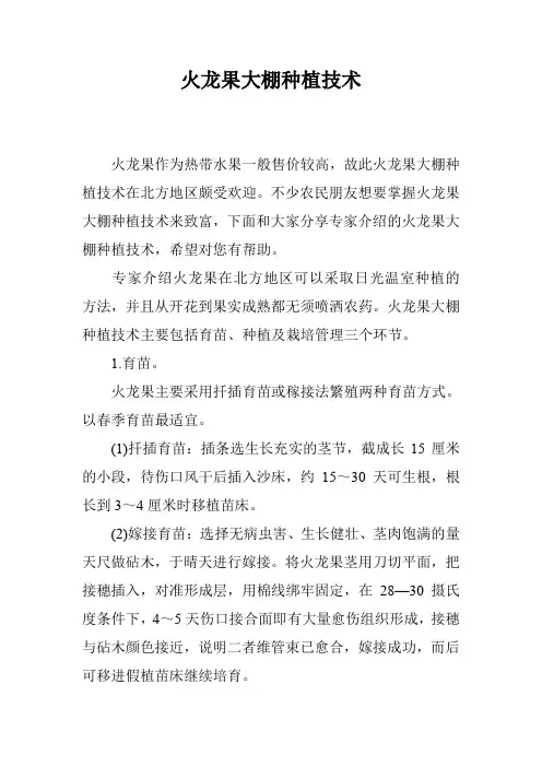 火龙果大棚种植技术