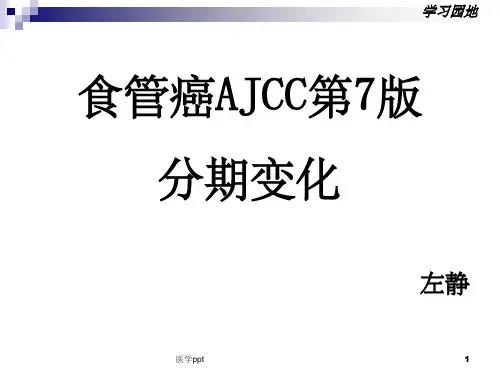 食道癌分期ajccuicc发布的食管癌tnm分期2009,第