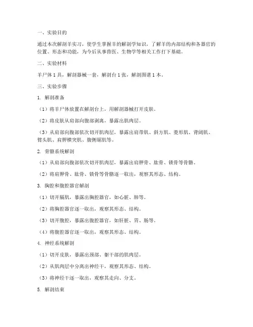 解剖羊实习报告