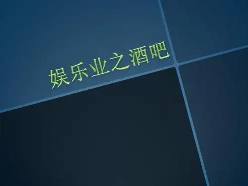 娱乐业之酒吧