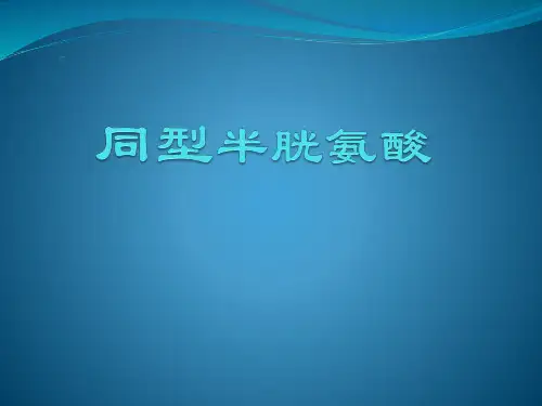 同型半胱氨酸