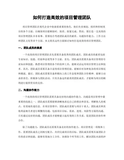 如何打造高效的项目管理团队