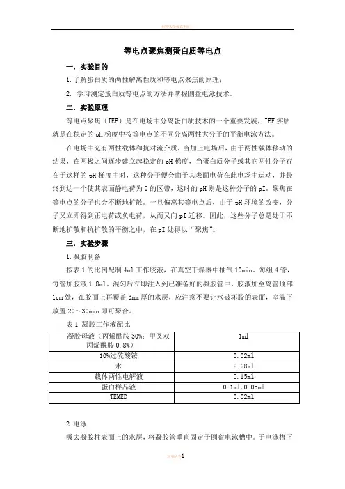 实验报告等电点聚焦测蛋白质等电点