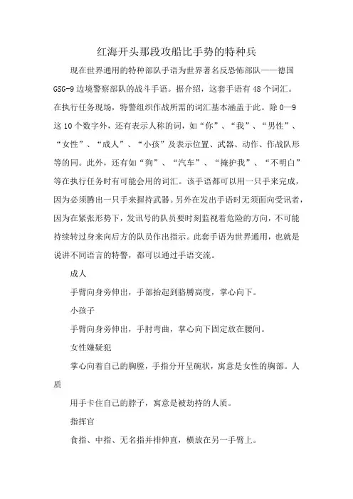红海开头那段攻船比手势的特种兵