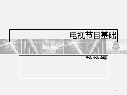广播电视编导电视节目基础PPT课件