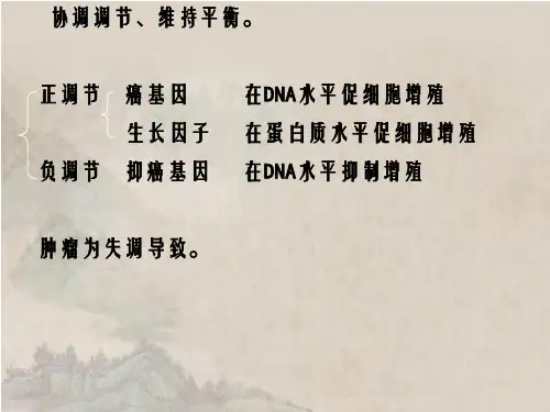 癌基因抑癌基因与生长因.ppt