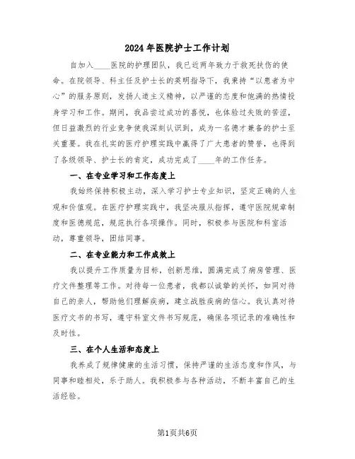 2024年医院护士工作计划（三篇）