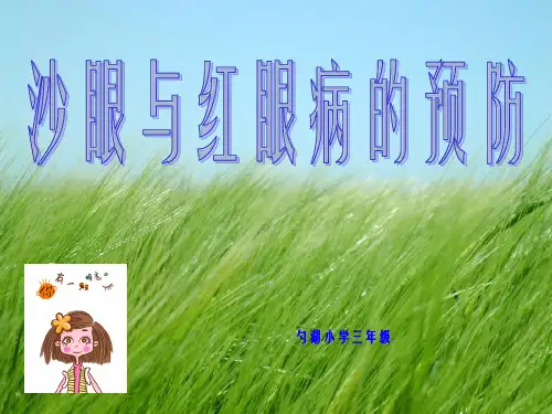 沙眼与红眼病的预防学校幻灯片PPT