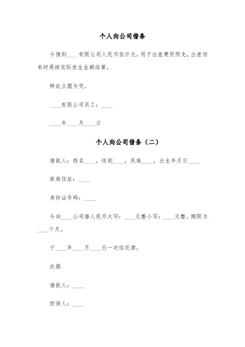 个人向公司借条（六篇）