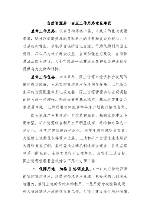 自然资源局十四五工作思路意见建议