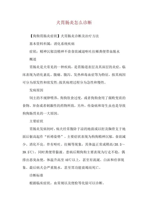 犬胃肠炎怎么诊断