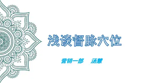 督脉穴位