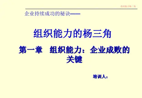 组织能力杨三角第一章