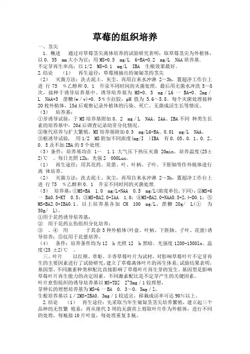 草莓组织培养
