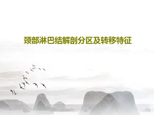 颈部淋巴结解剖分区及转移特征55页PPT