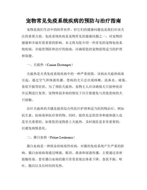 宠物常见免疫系统疾病的预防与治疗指南
