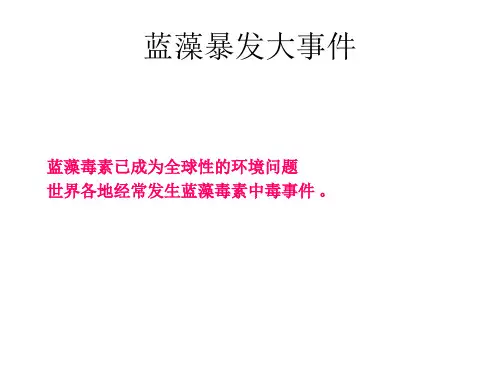 蓝藻暴发大事件