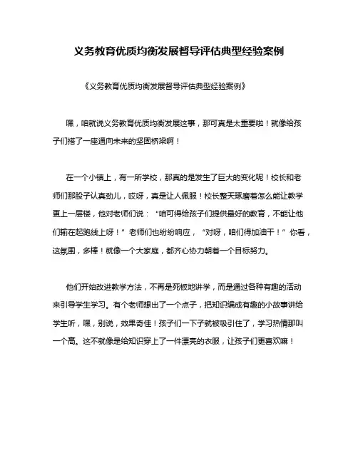 义务教育优质均衡发展督导评估典型经验案例