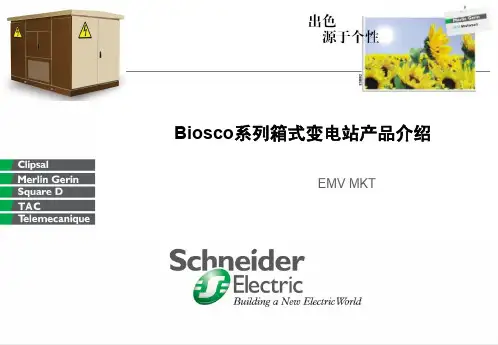 施耐德箱式变配电站
