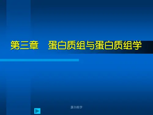 蛋白组学PPT课件