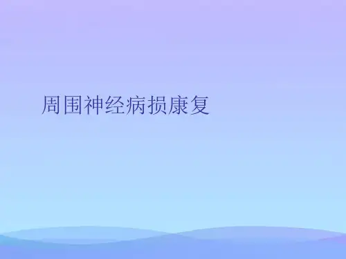 周围神经病损康复精品PPT资料