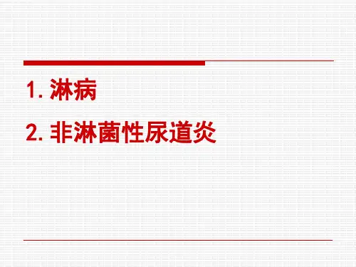 淋病;非淋菌性尿道炎PPT课件