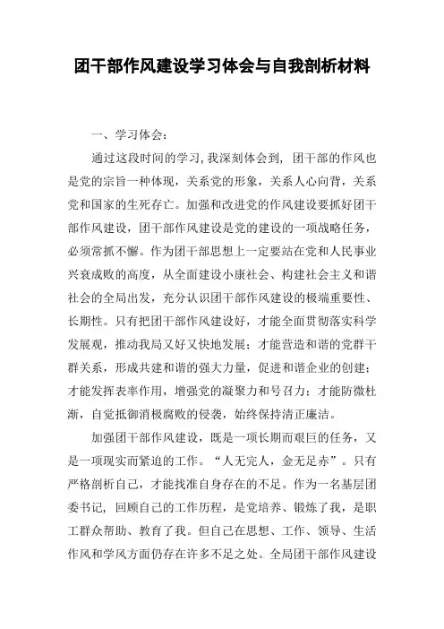 团干部作风建设学习体会与自我剖析材料
