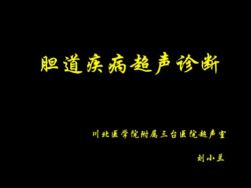 胆道疾病超声诊断