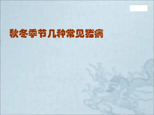 秋冬季节几种常见猪病ppt课件