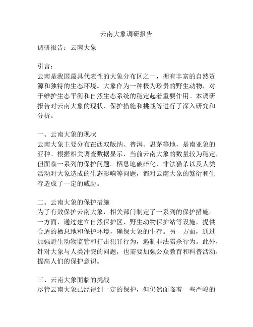 云南大象调研报告