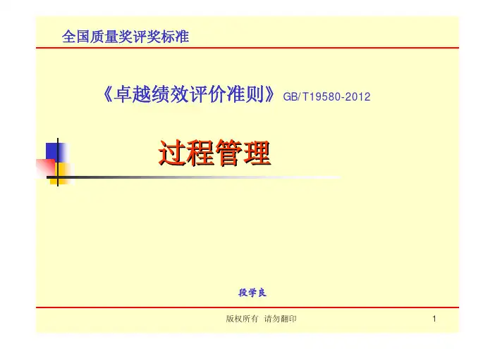 卓越绩效-过程管理介绍
