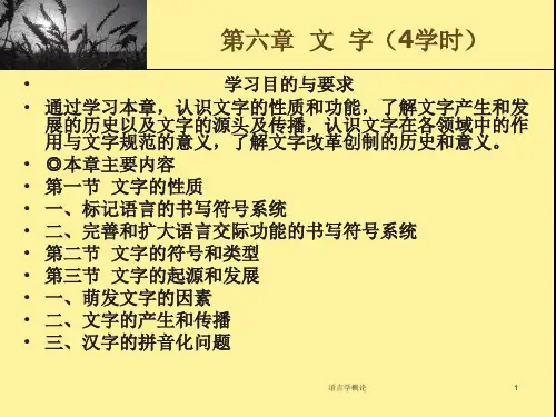 语言学概论--第六章 文字