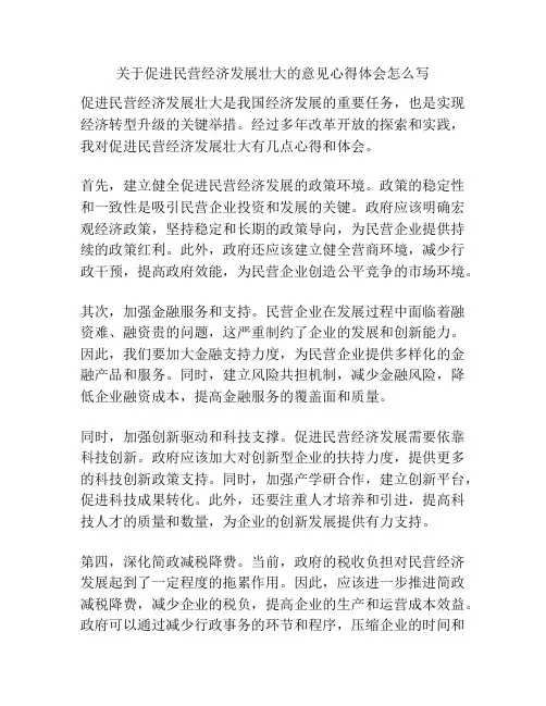 关于促进民营经济发展壮大的意见心得体会怎么写