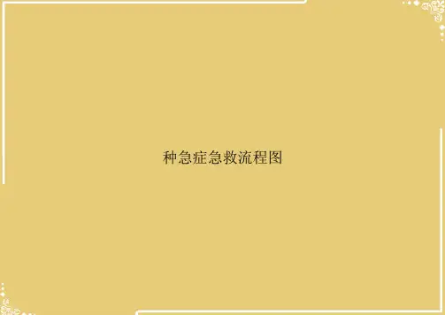 种急症急救流程图【共28张PPT】