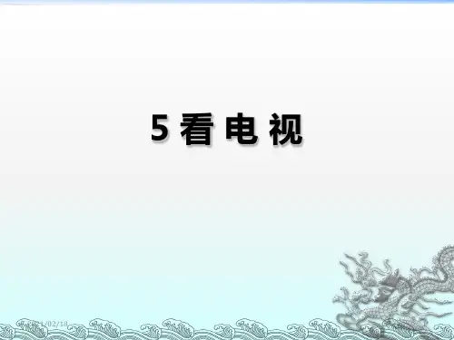 看电视优质课件PPT